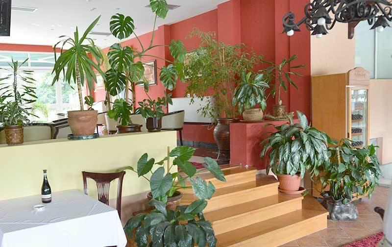 Motel Kneginja Čačak エクステリア 写真